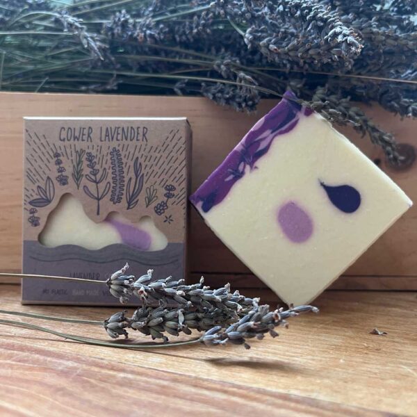 lavender soap displayed both boxed and unboxed with fresh lavender flowers