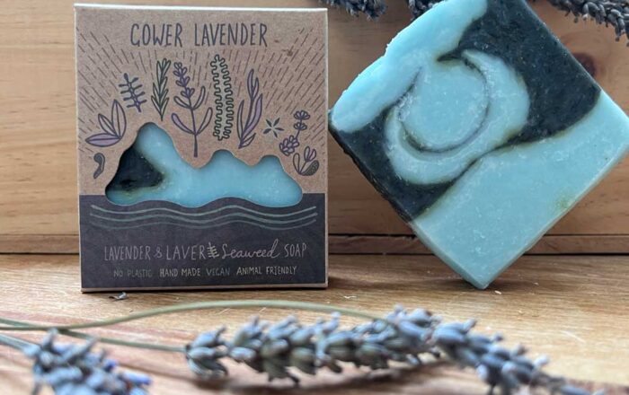 lavender soap made with local laver seaweed, displayed boxed and unboxed on a wooden table with lavender