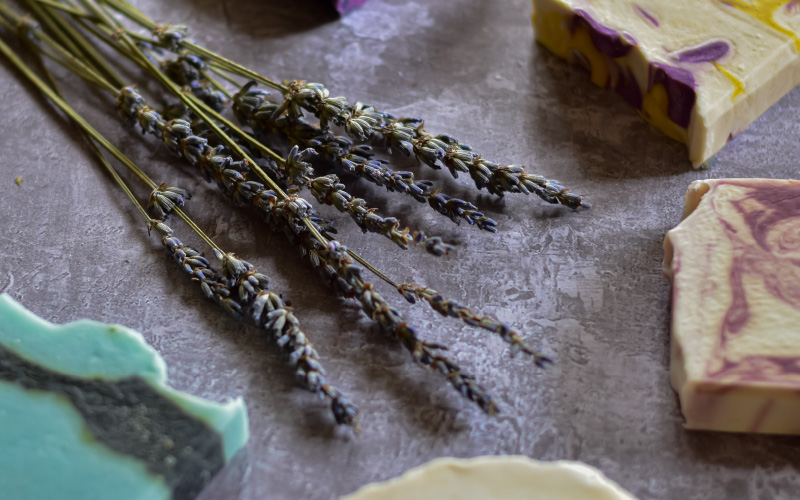 About Gower Lavender