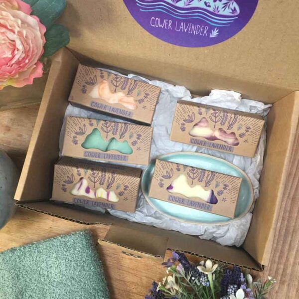 A gift set of five colourful lavender soaps and a pale green oval ceramic soap dish presented in a cardboard box