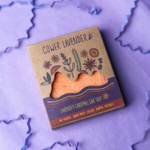Lavender Soap: Christmas Christmas Cake Soap
